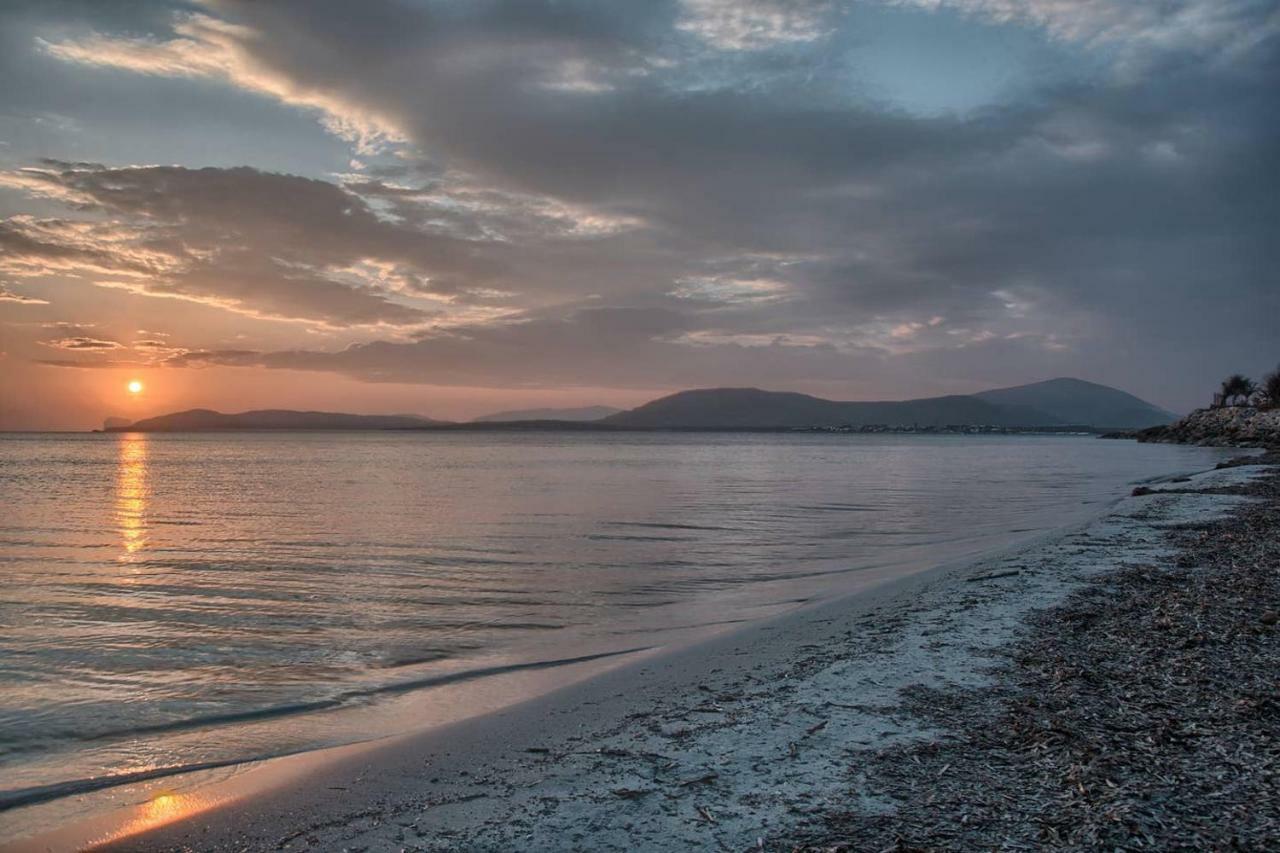 Zona Residenziale, Appartamento Incantevole Vista Mare Via Antonio Gramsci, 18, 07041 Alghero Ss 외부 사진